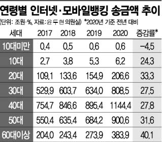 연령별인터넷모바일뱅킹송금표액