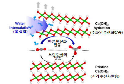 탄산화 반응에 영향을 미치는 물 삽입에 의한 수산화칼슘의 팽창과정 모식도