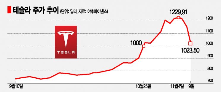 테슬라, '천이백슬라' 찍고 급락…머스크 동생도 팔았다 (종합)