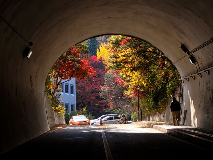 [Photo] Peak Autumn Foliage, Namsan Dullegil Right Now~