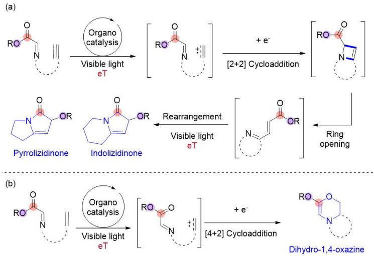 주요 약물 주성분 '질소 고리화합물' 친환경·고효율 합성법 개발