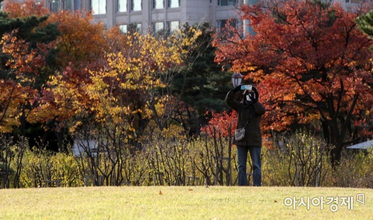 초겨울 날씨가 이어진 11일 서울 여의도공원에서 한 시민이 단풍을 찍으며 가을의 끝자락을 만끽하고 있다./김현민 기자 kimhyun81@