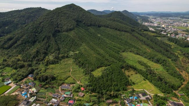 “韓 국제 산림협력·기여 확대…글로벌 중추 국가 실현”