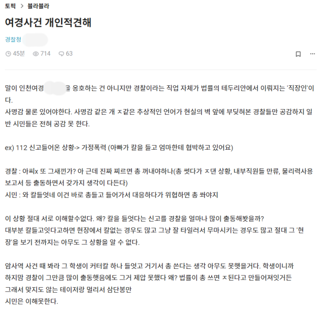 22일 직장인 익명 커뮤니티 블라인드에 올라온 '여경사건 개인적 견해'라는 제목의 글./사진=블라인드 캡처