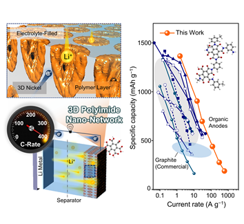 3차원 고분자 나노 네트워크 기반 리튬유기전지 모식도