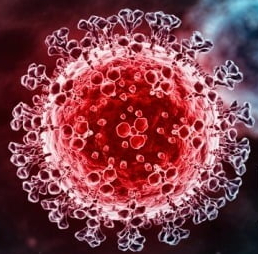 홍콩에서 아프리카 보츠와나발 코로나19 변종 바이러스 '누(Nu·B.1.1.529)'의 2차 감염이 일어났다. [이미지출처=게티이미지]