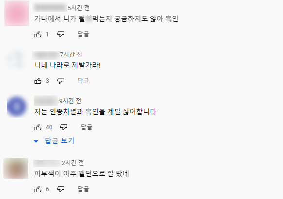 가나 출신 방송인 샘 오취리를 향한 인종차별적 댓글들./사진=유튜브 캡처