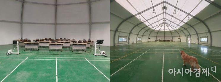 '인제 관광 차별화'‥ 라이프위드도그, '댕댕이 버스 투어' 내달부터 운영