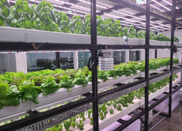 데이터농업 스타트업 그린랩스는 식물공장 R&D강화를 통해 10여개 작물 재배 레시피를 적용한 ‘팜모닝 완전제어형 식물공장’을 개발했다고 7일 밝혔다. 사진제공 = 그린랩스