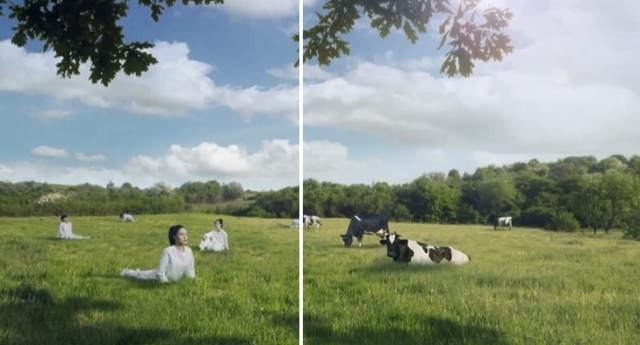 "젖소로 변한 여자들"…잇따른 여성 모욕 광고 '공분'