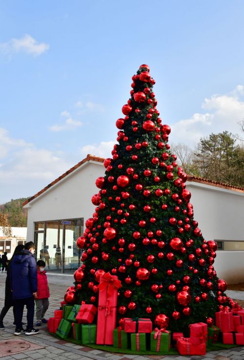 담양군, 화려한 대형트리 관광객 '눈길·발길' 사로잡아