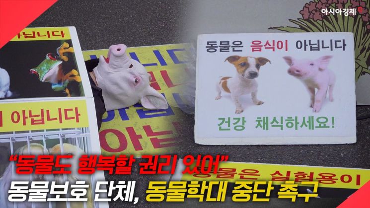 [현장영상] "동물도 행복할 권리 있어" 동물보호 단체, '학대 중단' 촉구