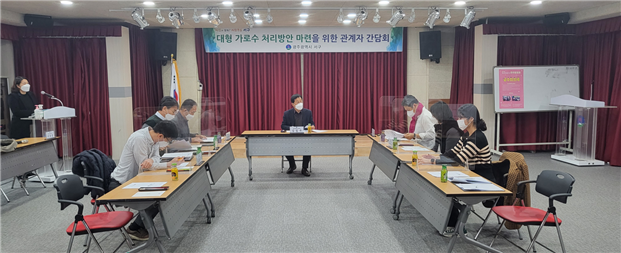 광주 서구, 대형 가로수 처리방안 간담회 진행