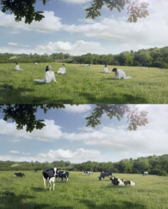 "국제적 망신"…'여성=젖소' 비유한 서울우유 광고에 외신도 주목