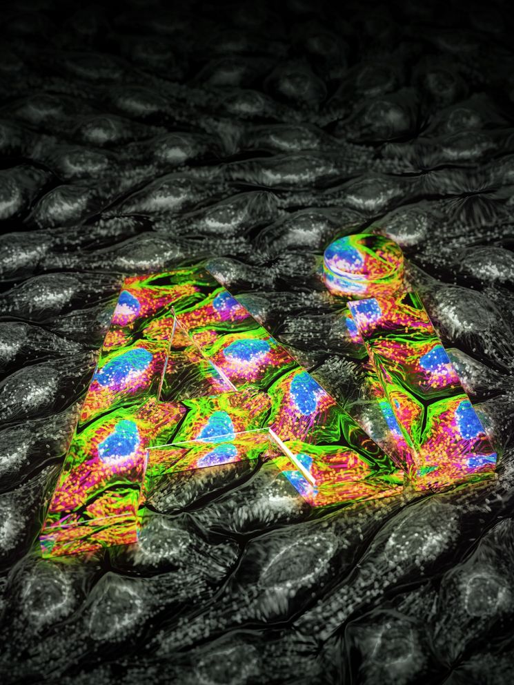 형광 염색 없이도 세포 관찰하는 '인공지능' 현미경 개발