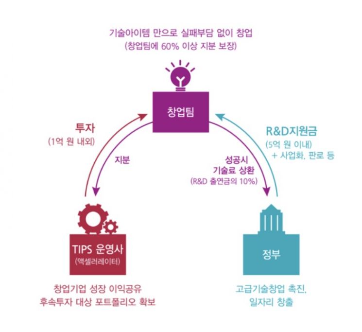 현행 팁스 프로그램 구조