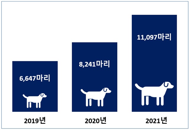 에어부산, 올해 반려동물 운송 1만 마리 돌파…전년 比 34.6%↑