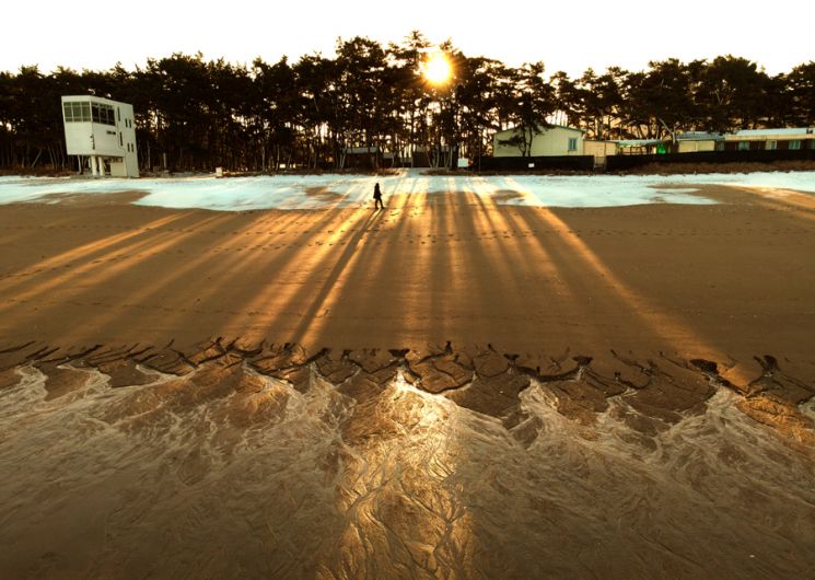 [조용준의 여행만리]힘들게 견딘 한 해, 긴 긴 그림자 남기며 보낸다~