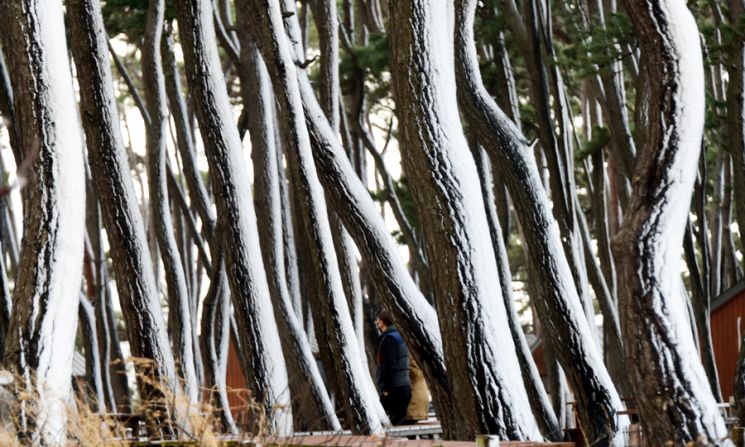 [조용준의 여행만리]힘들게 견딘 한 해, 긴 긴 그림자 남기며 보낸다~