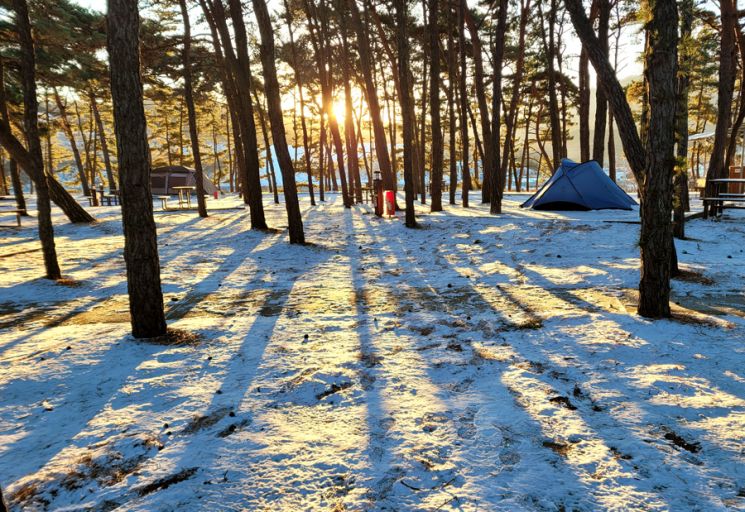 [조용준의 여행만리]힘들게 견딘 한 해, 긴 긴 그림자 남기며 보낸다~