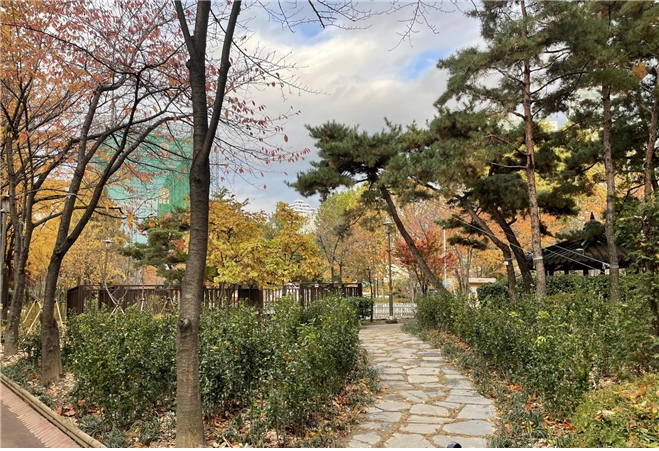 Gwanak-gu Distributes 'Wandering Detection Devices for Women with Intellectual Disabilities'... Yeongdeungpo-gu Certified as 'UNICEF Child-Friendly City'