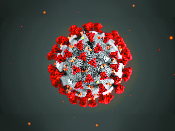 코로나 확진 후 냄새 잘 못 맡는다면…"뇌 손상 전조 증상일 수도"