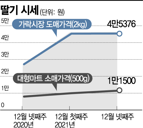 한 팩에 1만5000원 … 제철과일 '딸기'에 무슨 일이?