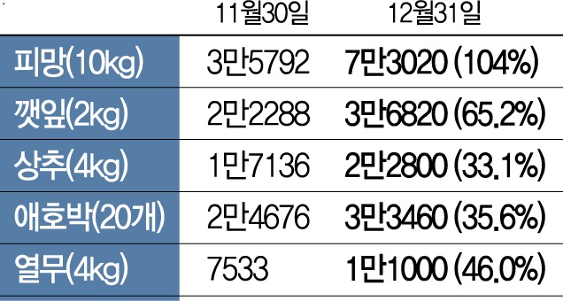 최강 한파에 채솟값 급등…식탁 물가 비상 