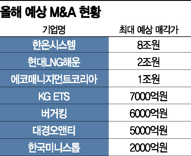 올해도 불꽃 M&A…조단위 대어 매물 수두룩