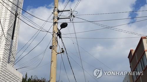 전봇대(기사 내용과 직접적인 관계없음) (출처: 연합뉴스)