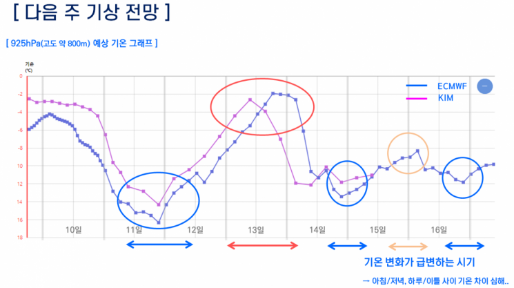 1월 둘째주 기상 전망. 고도 800m 예상 기온 그래프(자료제공=기상청)