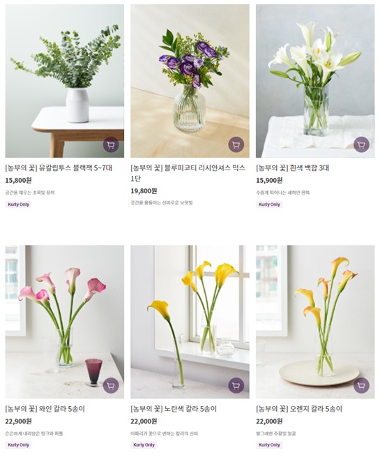 마켓컬리, 원예산업 발전 공로 '농림축산식품부 장관' 표창 수상