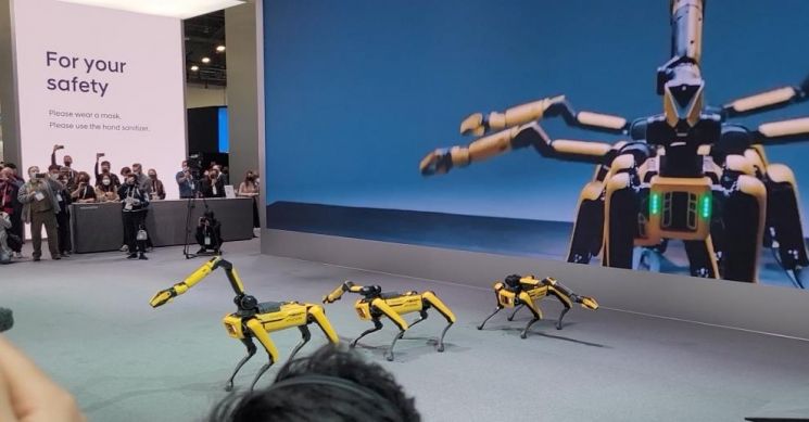 CES 2022 전시장 내 현대차 부스에서 로봇개 '스팟' 3마리가 방탄소년단(BTS) 음악에 칼군무를 선보이고 있다.[이미지출처=연합뉴스]