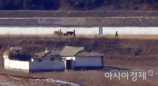 [포토] 오두산전망대에서 바라본 북한 주민들