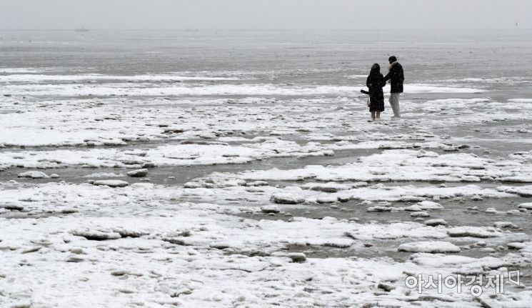 [포토] 한파가 빚은 얼음해변