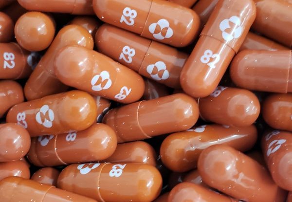 한미약품·셀트리온, MSD 먹는 치료제 '라게브리오' 생산