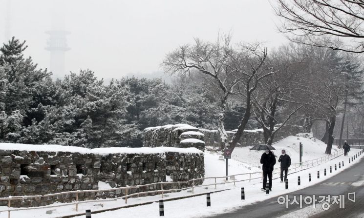 서울 전 지역에 대설주의보가 내려진 19일 서울 남산에 눈이 쌓여 있다./김현민 기자 kimhyun81@