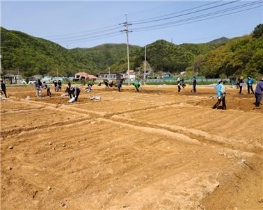 경남 김해시 귀농귀촌 체험농장 활동으로 예비 귀농귀촌인들이 농촌 생활을 체험하고 있다.