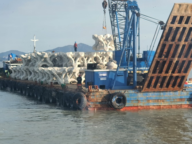 신안군, 비금도와 흑산 가거도에 산란·서식장 조성
