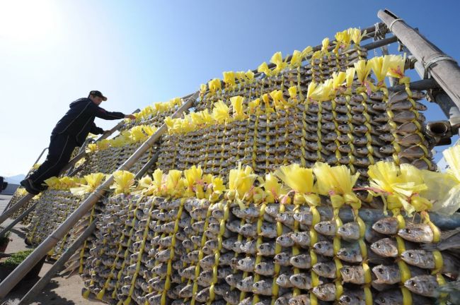 영광굴비산업특구, 지정 기한 2023년까지 연장