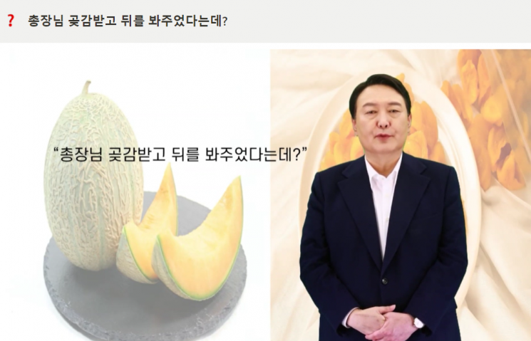 AI윤석열 "곶감받고 뒤를 봐준다? 어이가 없다"