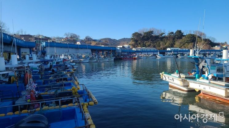 강원 고성군 대진항