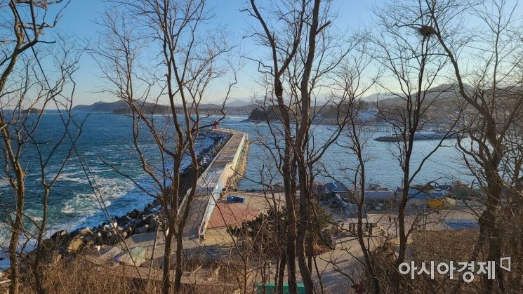대진 등대에서 바라본 대진항 전경