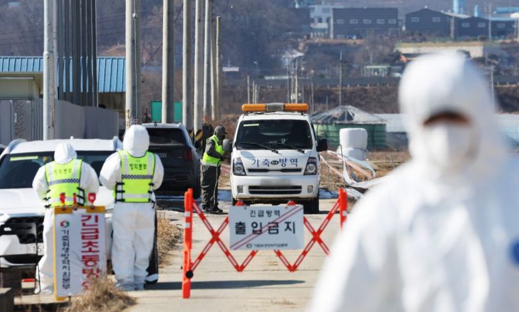 지난해 고병원성 조류인플루엔자(AI) 항원이 검출된 한 산란계 농장에서 외부 출입이 통제되고 있다. 사진=연합뉴스