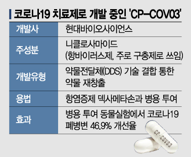 현대바이오 먹는 치료제, 임상 1상 완료… "안전성 입증"