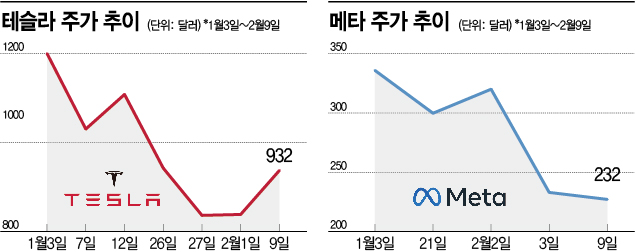 서학개미, 테슬라·메타 줍줍 전략 성공할까