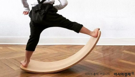 집돌이 집순이를 위한 '홈트' 완전정복[이진경의 건강상식]