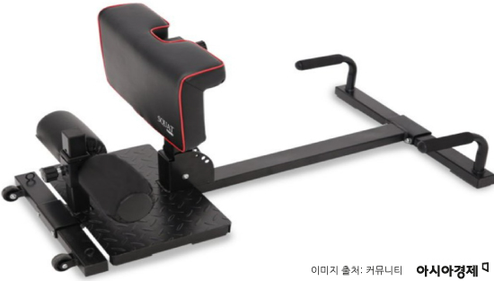 집돌이 집순이를 위한 '홈트' 완전정복[이진경의 건강상식]