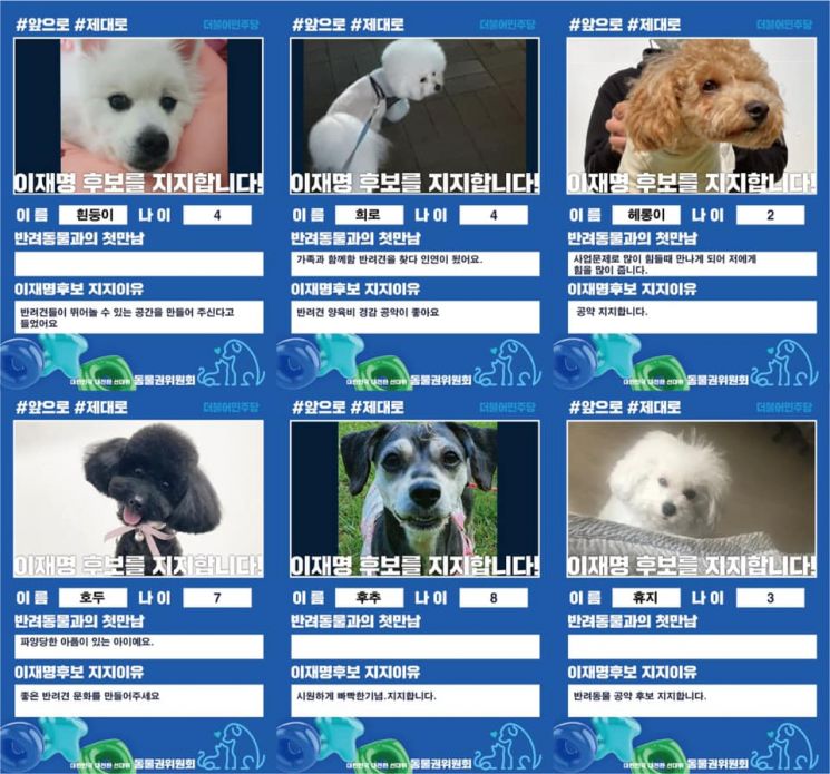 고민정 "강아지도 李 지지" 이준석 "동물 선거운동? 컨셉질"