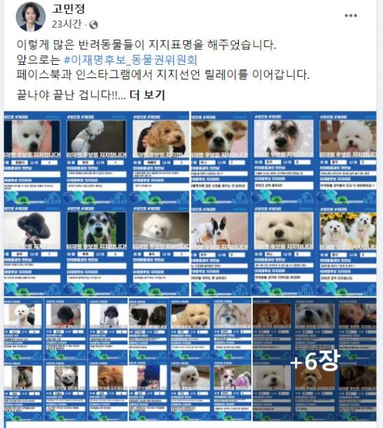 전국 동물단체 "반려인 유권자 조롱한 이준석 규탄"